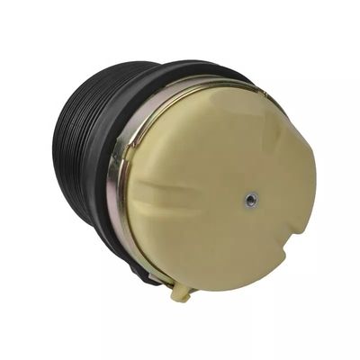 A6 C6 एयर स्प्रिंग रियर