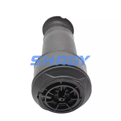 मर्सिडीज Citroen C4 के लिए पीछे 96819460805102 GN5102R8 एयर स्प्रिंग