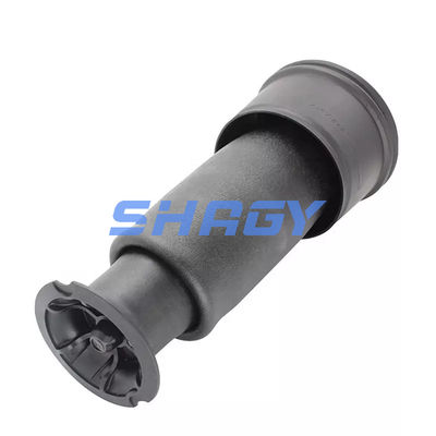 मर्सिडीज Citroen C4 के लिए पीछे 96819460805102 GN5102R8 एयर स्प्रिंग